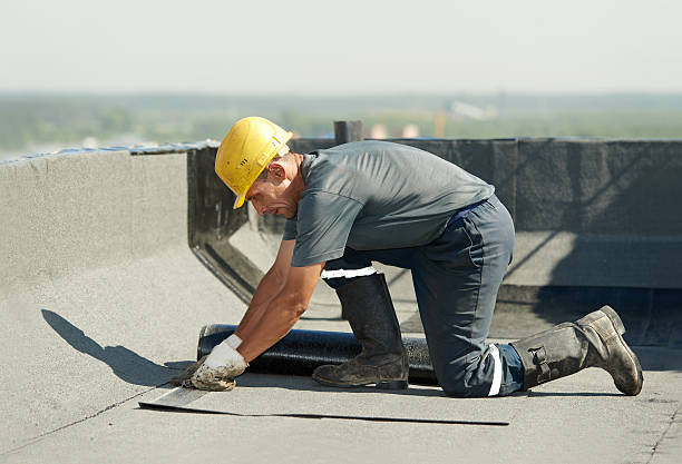 Best Cellulose Insulation  in West Siloam Springs, OK
